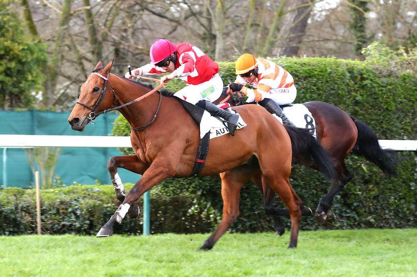 Juigne 24 Garrick Harmony