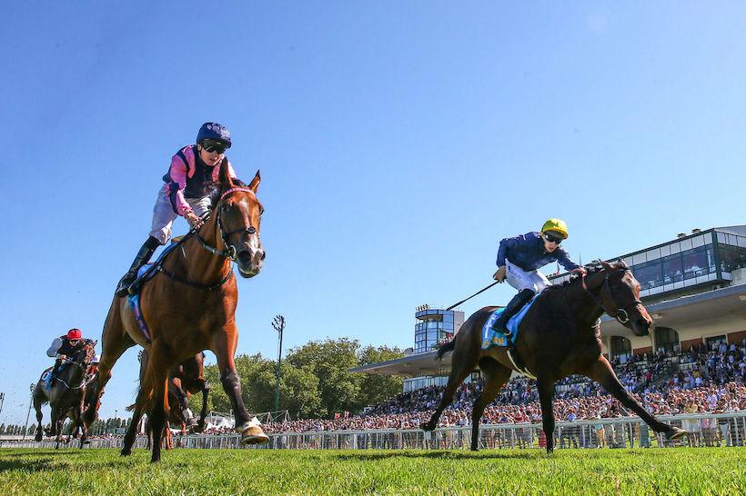 Romanet 23 Mqse de Sevigné