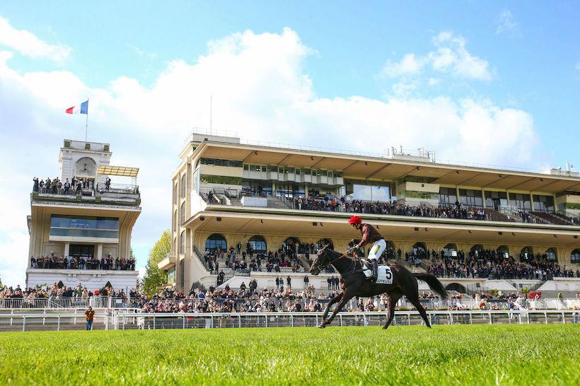 Stern 24 Kentucky Wood