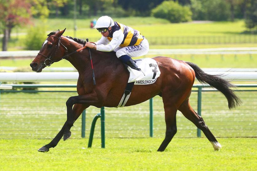 Barbeville 24 Sevennah's Knight