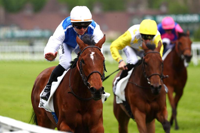 Cleopatre 24 Halfday