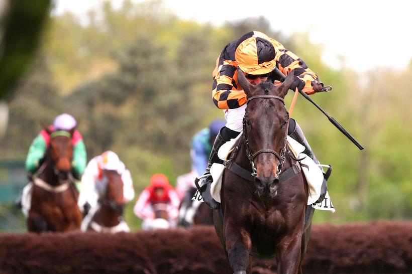 Pepinvast 24 Kingland