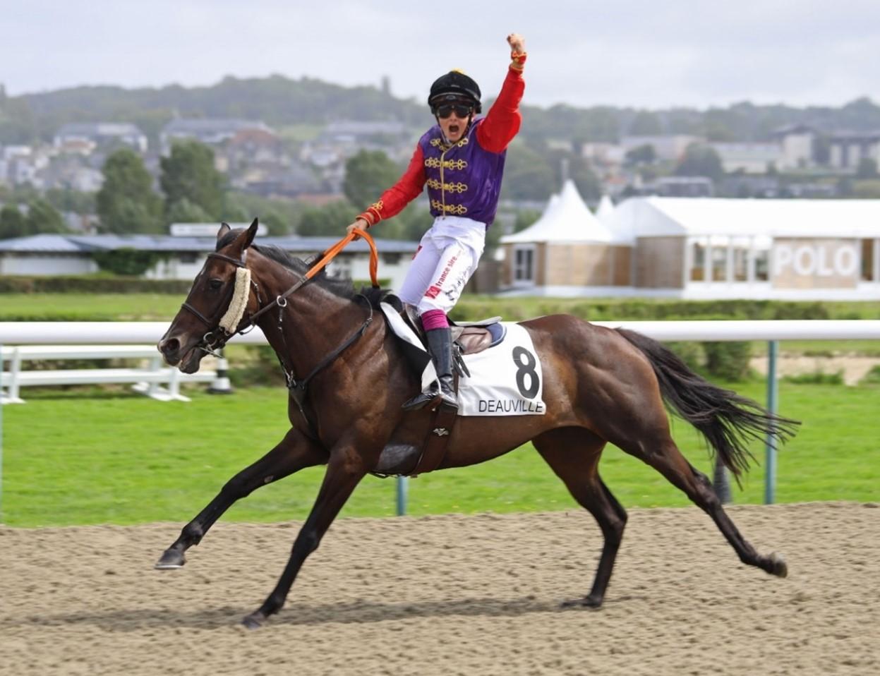 Poneys au Galop 2024