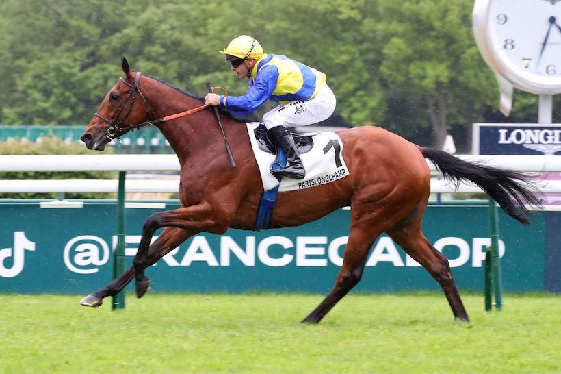 Hedouville 24 Goliath