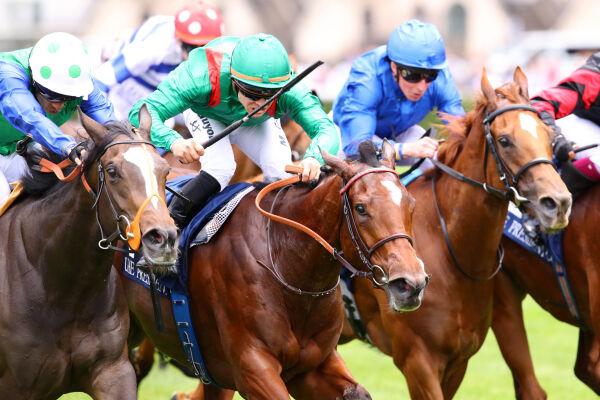 Pouliches 24 Rouhiya