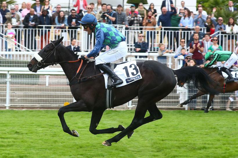 Grande course de haies Auteuil 24 Losange Bleu