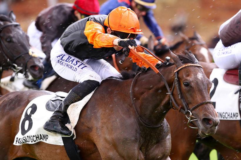 Palais-Royal 24 Exxtra