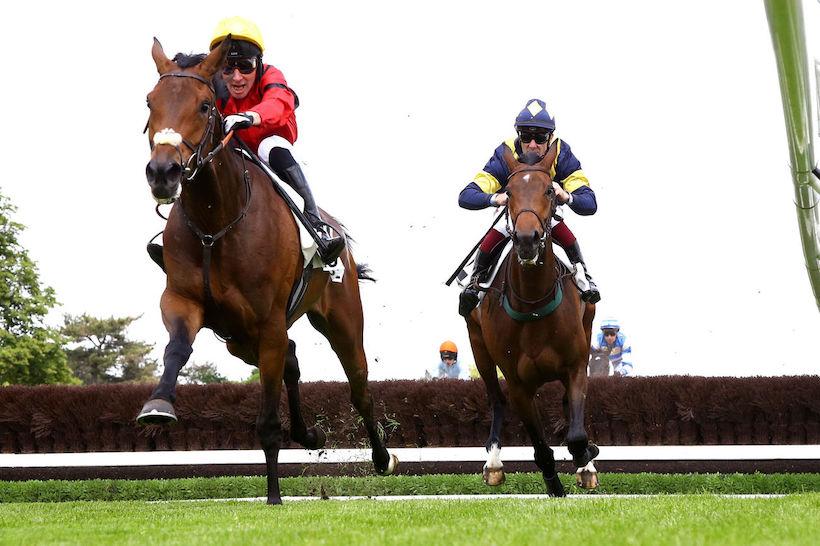 Sagan 24 Shika du Berlais