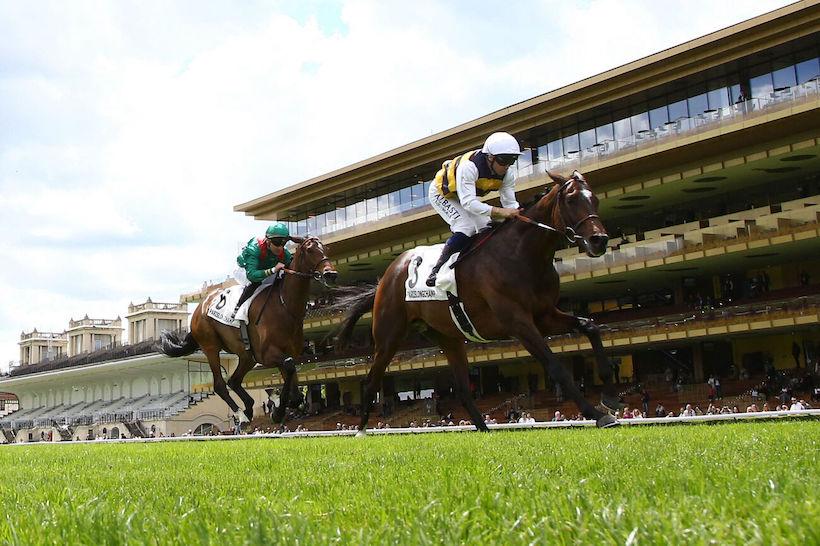 Vicomtesse Vigier History: A French Gold Cup