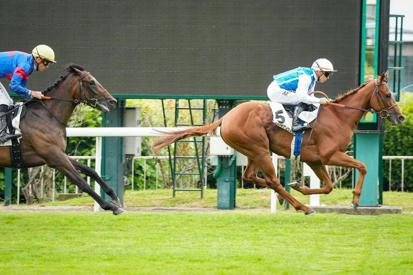 Eugene Adam 24 Bright Picture