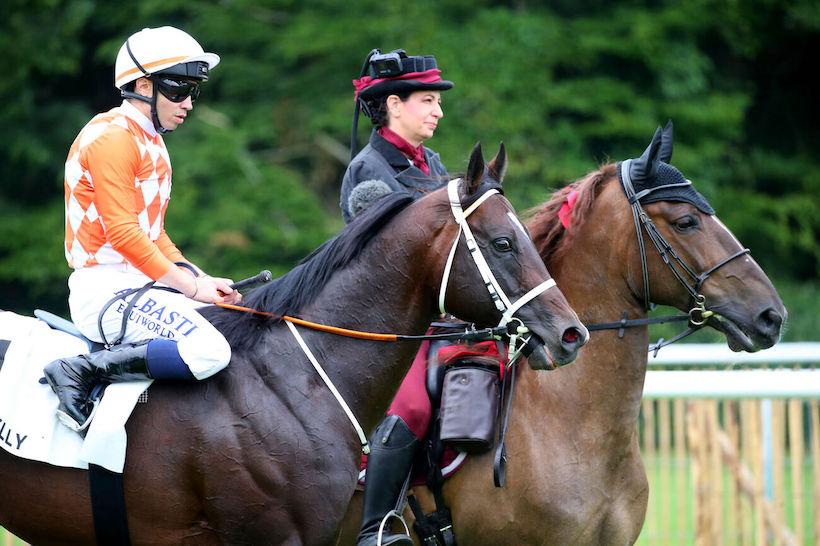 Gros Chene 24 Ponntos