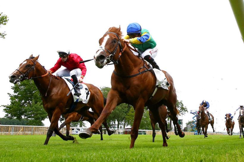 orgemont 24 itsatenfromlen