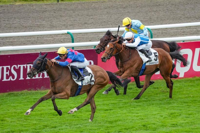 Sandringham 24 Sparkling Plenty