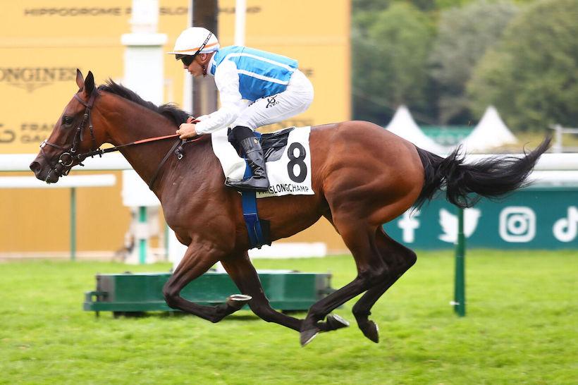 Thiberville 24 Mosaique