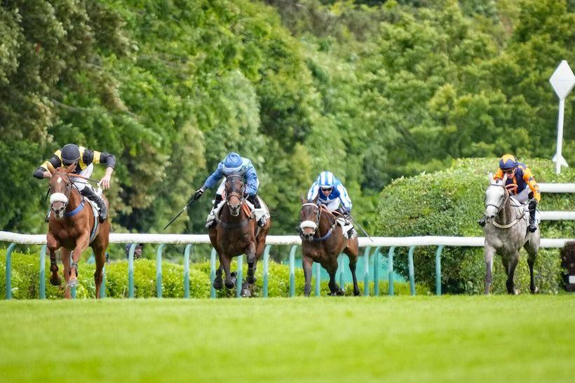 Tredern 24 Julietta Ghia