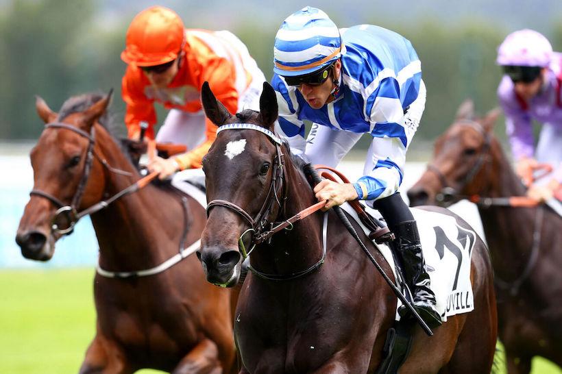 Lisueux 24 Epson Blue Cen