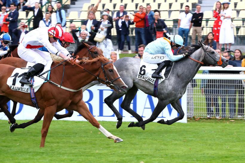 Ris-Orangis 24 Shouldvebeenaring