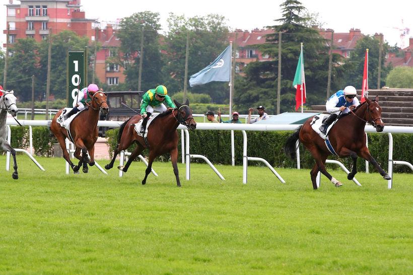 Corrida 24 Pensée du Jour