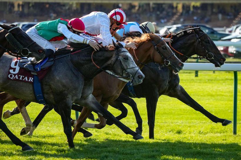 Petit Couvert 24 Pradaro