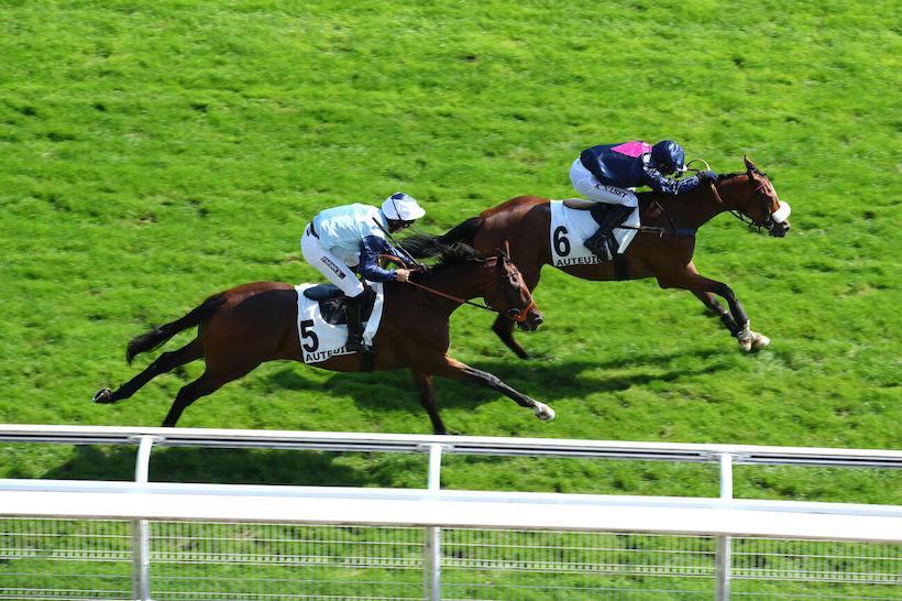 Robert Lejeune 24 Djins