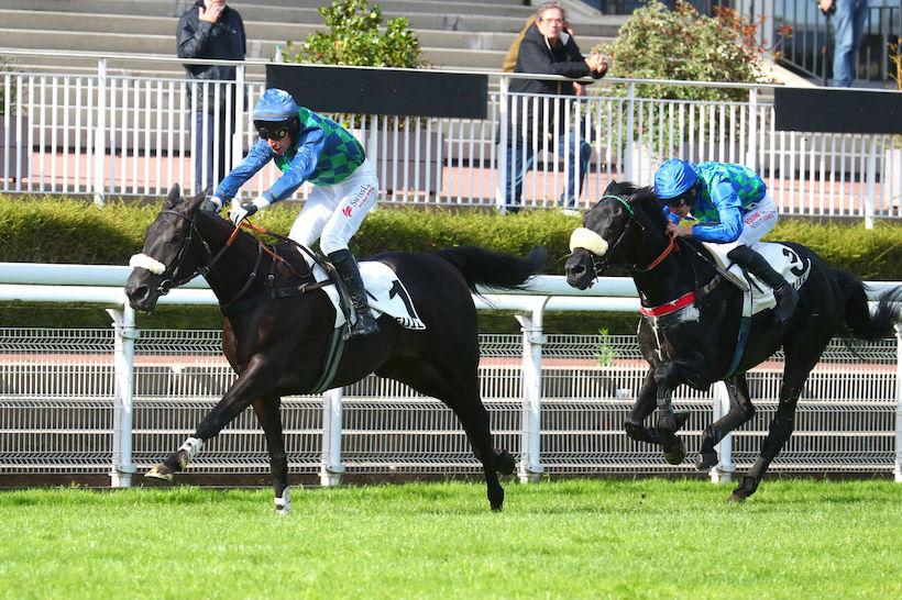 Hennessy24LosangeBleu