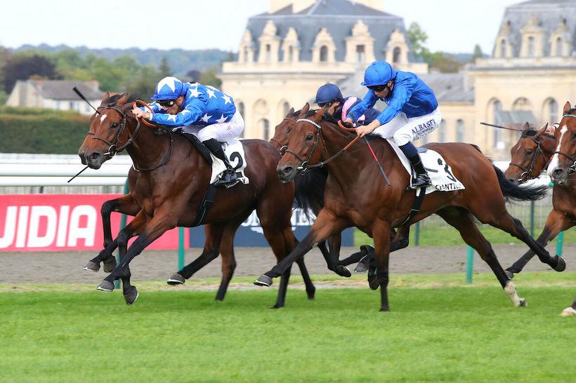 Tarragon 24 Andromede