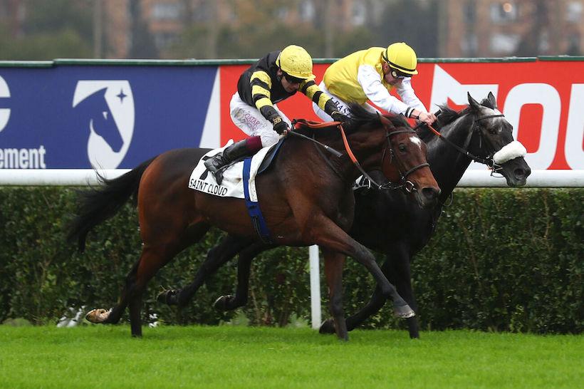 Belle de Nuit 24 Entrancement