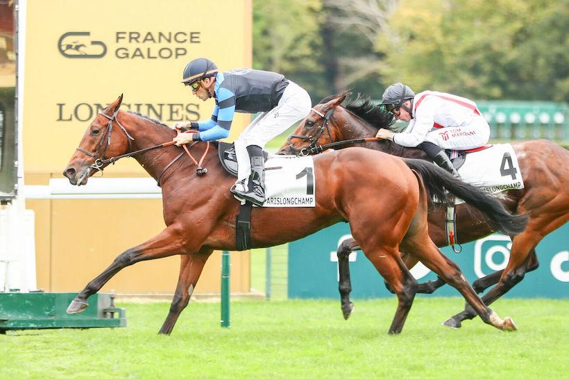 Conseil Paris 24 Goliath