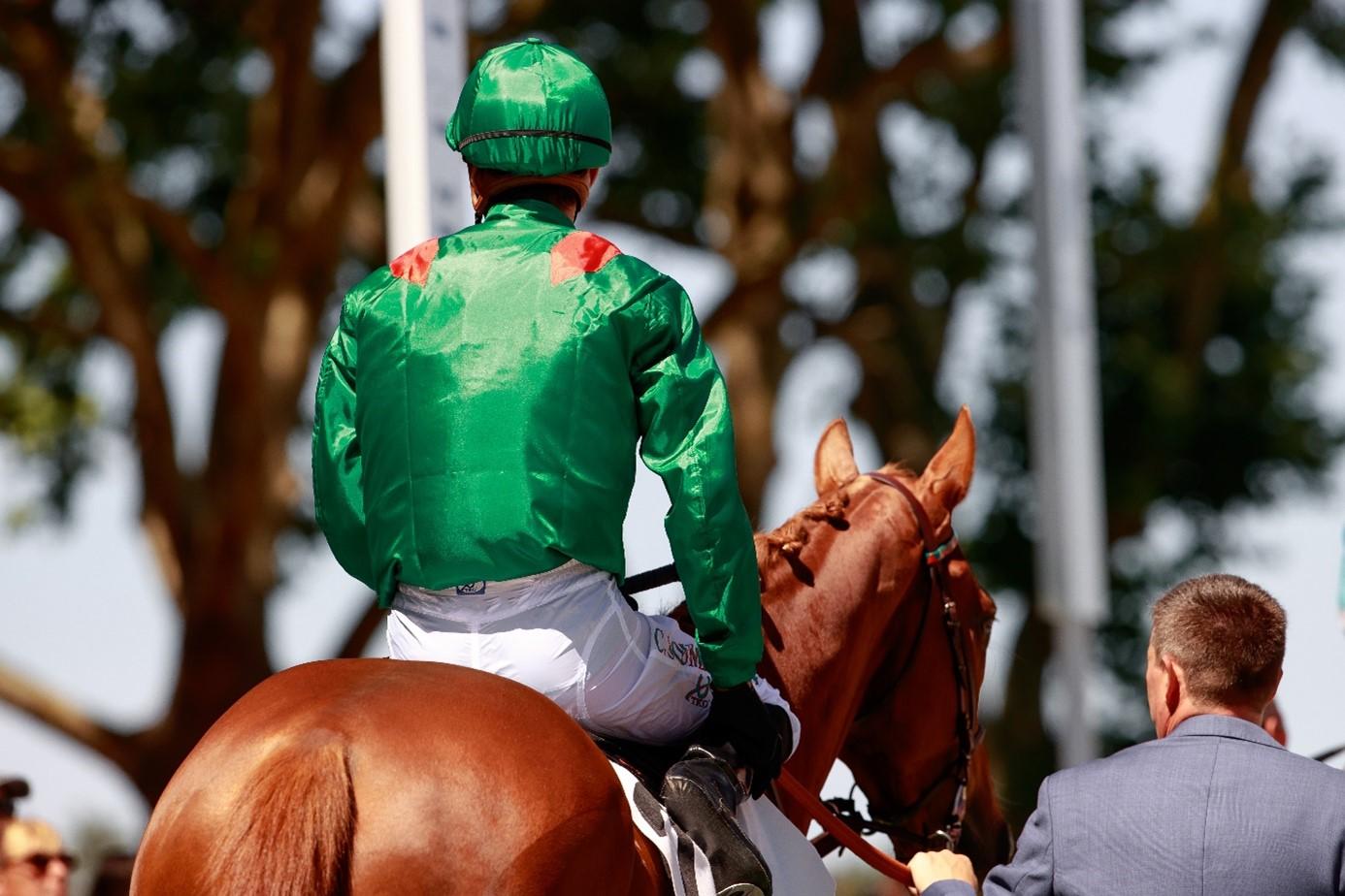 Aga Khan Studs - Jacques le Marois