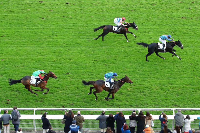 GP Automne Losange Bleu