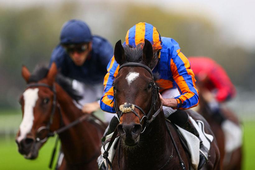 24 Criterium International