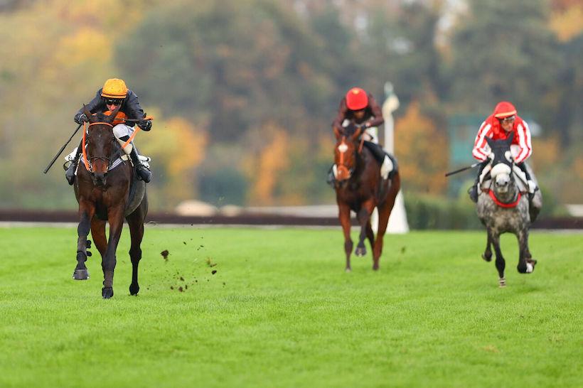 Haye Jousselin 24 Gran Diose