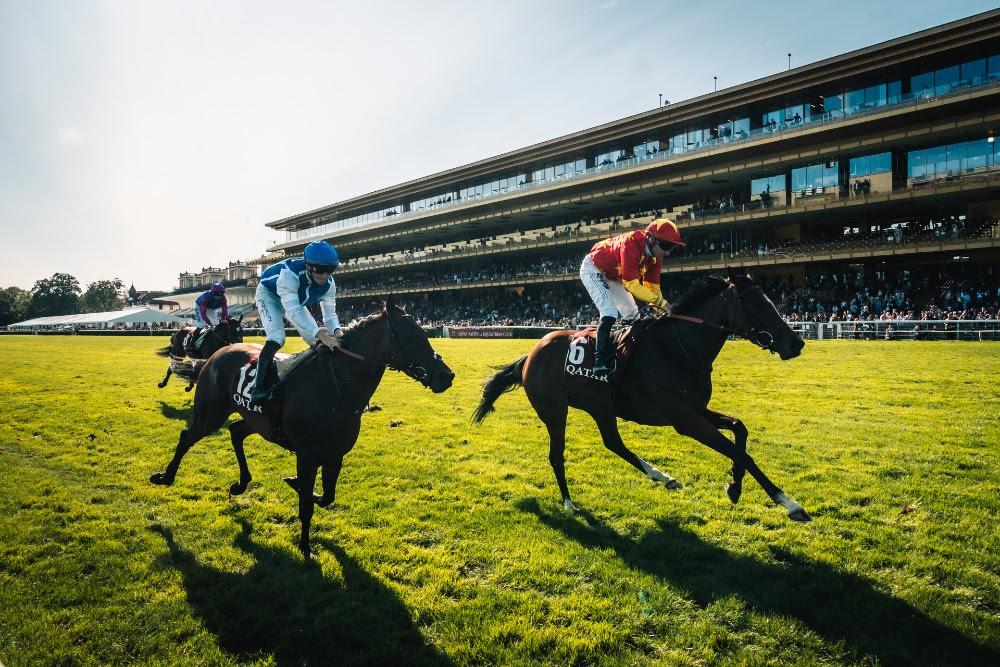 Qatar Prix Vermeille