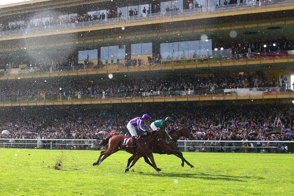 Arrivée du Qatar Prix de l'Arc de Triomphe