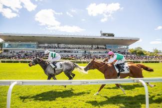 Courses hippiques à Saint-Cloud