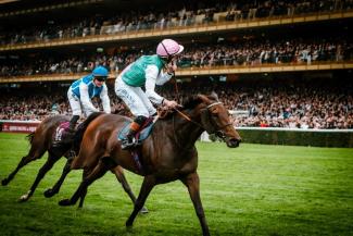 Exposition TV croissante à l'international - France Galop