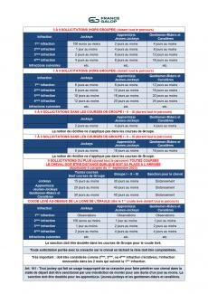 tableau sanctions cravache france galop