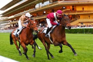 Finale Championnat Grandes Ecoles