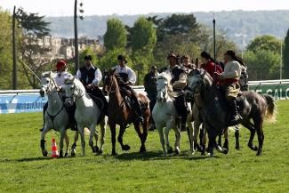 Démonstrations Mario Luraschi