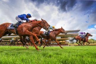 Photo Emirates Poules d'Essai