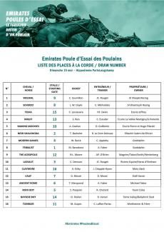 Tableau place à la corde - Emirates Poule d'Essai Poulains