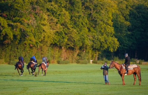 Demande d’Agrément en Ligne