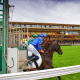 ParisLongchamp