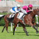 Chantilly