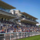 Tribune Auteuil