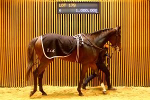 Arqana Breeding Stock Sale : Smaller catalogue closes with stable overall trend