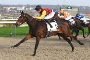 Prix Miss Satamixa (L) : Seize concurrentes pour une qualification