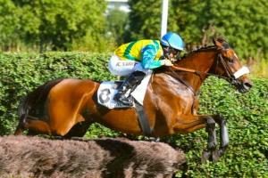 Prix du Comté de Nice (L) : Mallorca takes over Rivera leadership