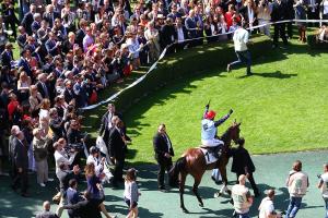 2016 leaders in France (2/8) : Milord Thomas