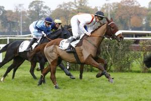 Comté de Nice (L) : My Maj poursuit sa route